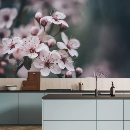 Fotobehang Close-up van een kersenbloesem in volle bloei