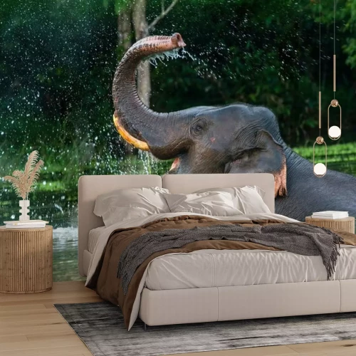 Fotobehang Olifant in het water