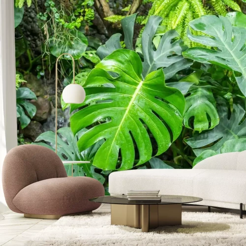 Fotobehang Tropische planten in een exotisch bos