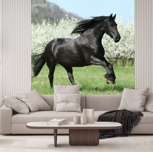 Fotobehang Lentelandschap met een paard