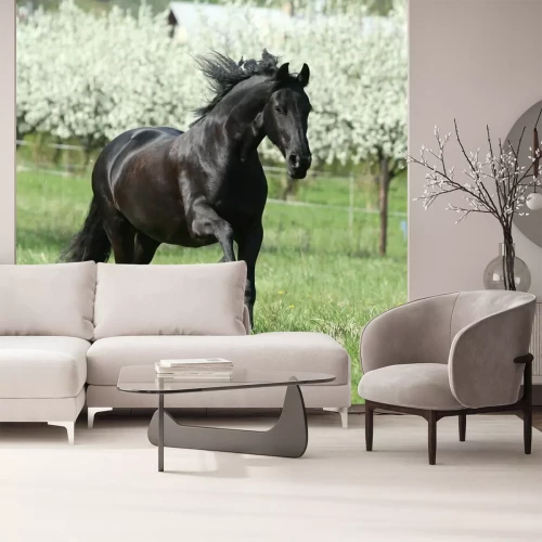 Fotobehang Zwart paard op de achtergrond van bomen