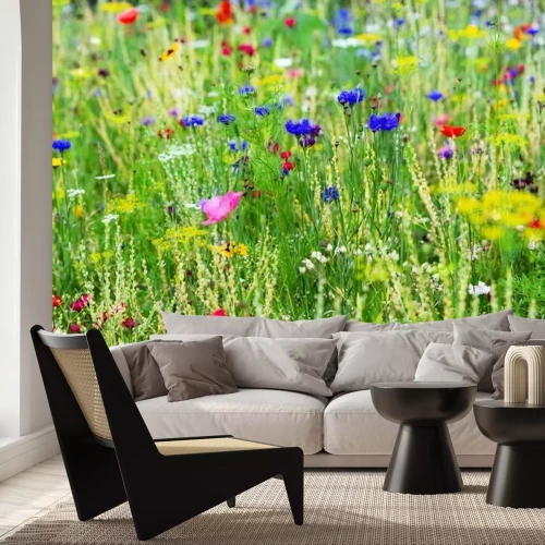 Fotobehang Een weide vol kleurrijke bloemen