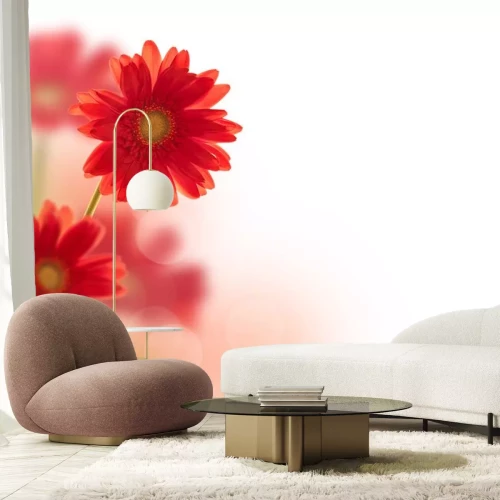 Sticker Bloemen in rood op een onscherpe achtergrond