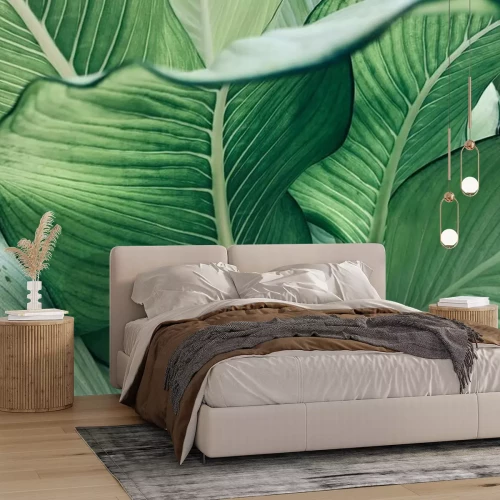 Fotobehang Tropische bladeren groen