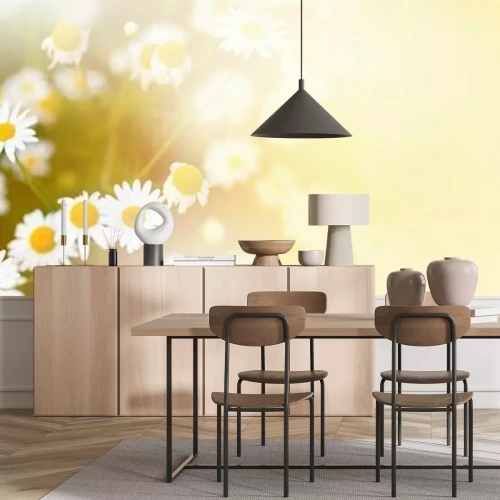 Fotobehang Madeliefjes bij zonnig weer