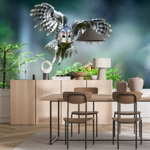Fotobehang Uil met zijn gespreide vleugels