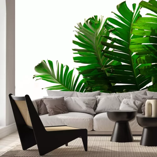 Sticker Donkergroene bananenbladeren op een witte achtergrond, botanisch patroon