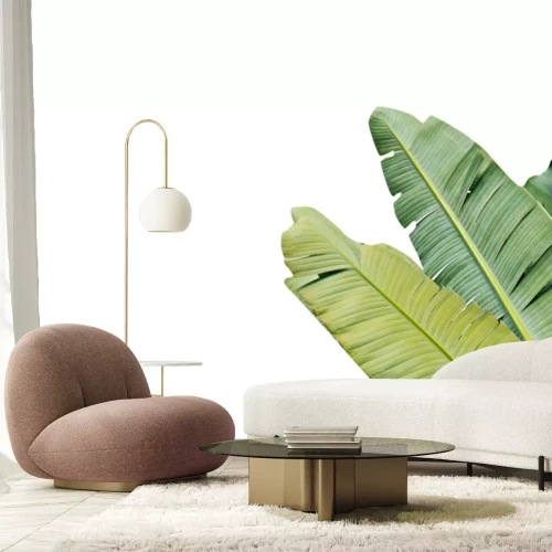 Sticker Groene bananenbladeren op een witte achtergrond