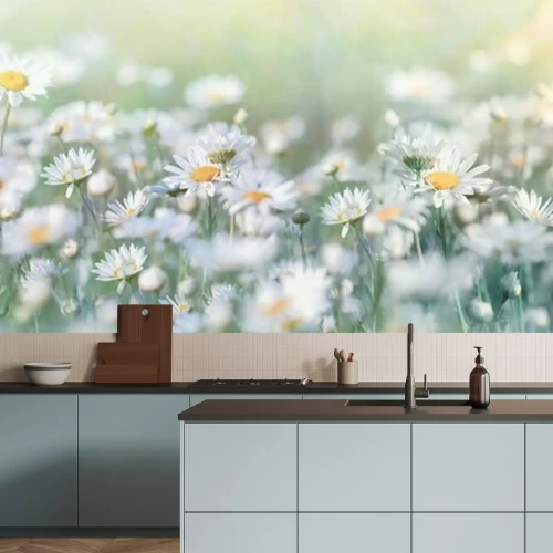 Fotobehang Madeliefjes op een weide in felle kleuren