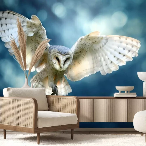 Fotobehang Witte uil op een wazige achtergrond