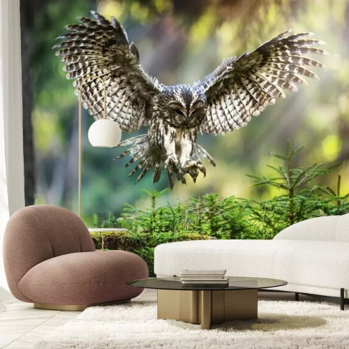 Fotobehang Uil vliegt over het bos