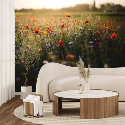 Fotobehang Een weide van klaprozen en korenbloemen