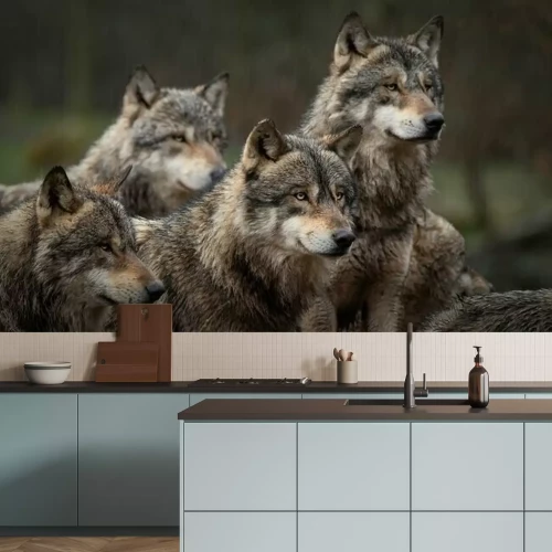 Fotobehang Grijze wolven in de roedel