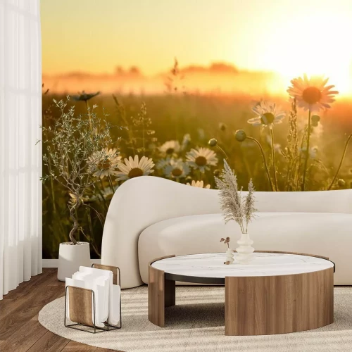 Fotobehang Een bloemrijke weide bij zonsondergang