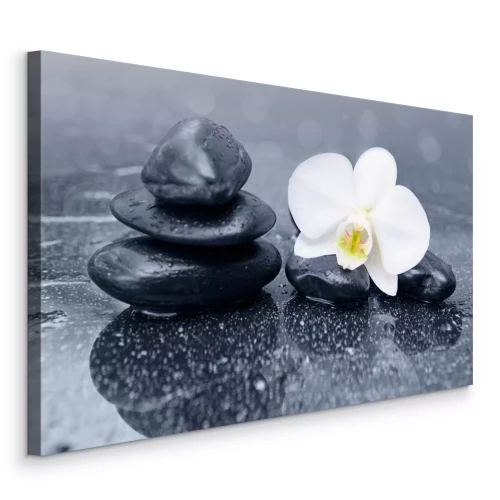 Canvas Witte orchideeënbloem en zwarte zenstenen