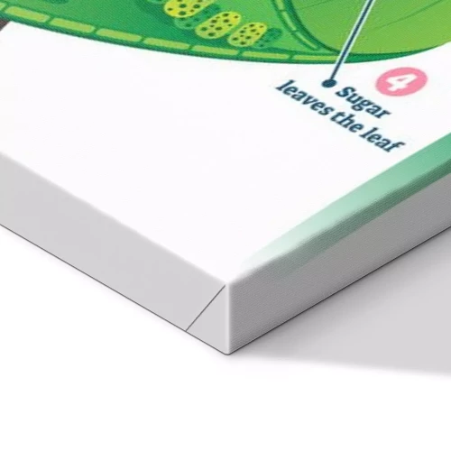 Visualisatie van het product