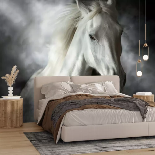 Fotobehang Wit paard op een zwarte achtergrond