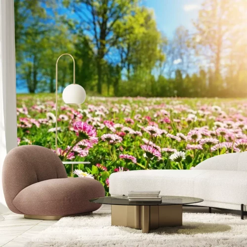 Fotobehang Roze madeliefjes in een veldweide