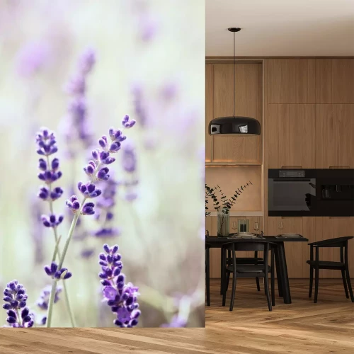 Fotobehang Delicate lavendel van dichtbij