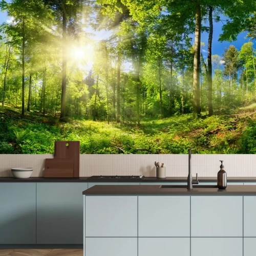 Fotobehang Zonnestralen in een groen bos tussen de bomen