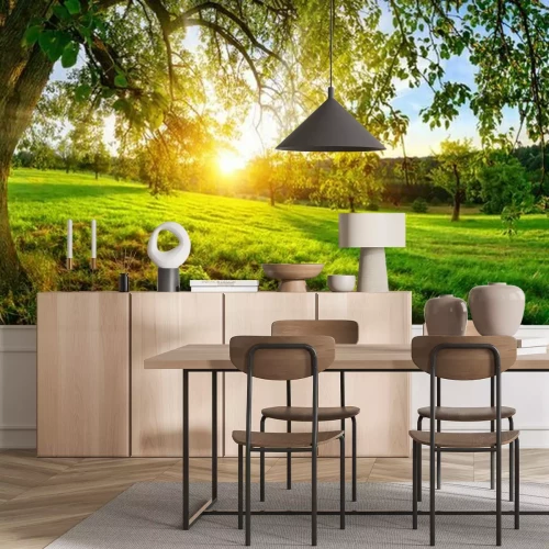 Fotobehang Weide en bomen