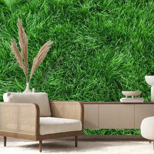 Fotobehang Gemaaid groen gras