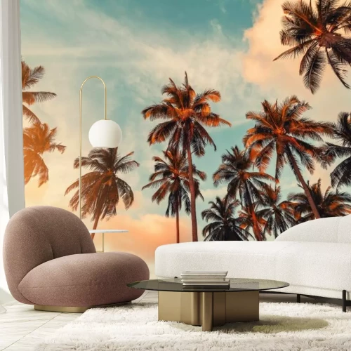 Fotobehang Zonnestralen over kokospalmen