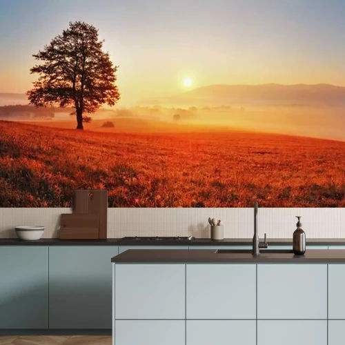 Fotobehang Boom en rode zon