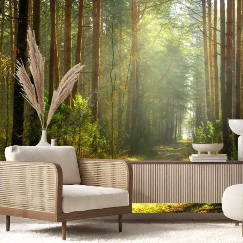 Fotobehang Een pad in een zonnig bos