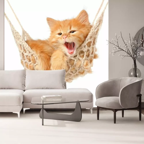 Sticker Schattige roodharige kitten in hangmat