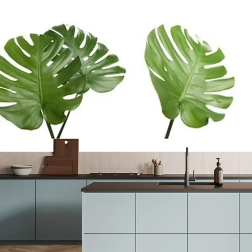 Sticker Set with tropical Monstera leaves on white background. Banner design