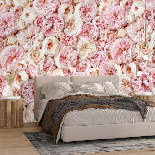 Fotobehang Delicate bloeiende rozen op een pastelkleurige achtergrond