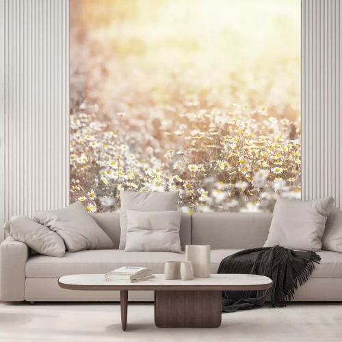 Fotobehang Madeliefjeweide