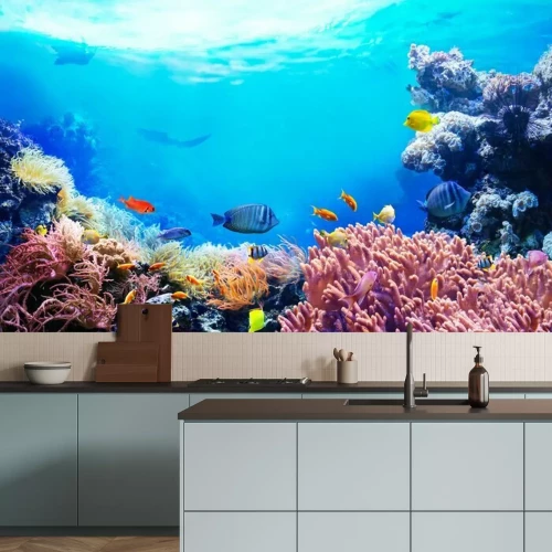 Fotobehang Koraalrif en tropische vissen