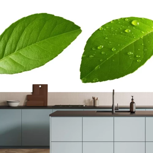 Sticker Citrus Lemon leaf with drops isolated on white background