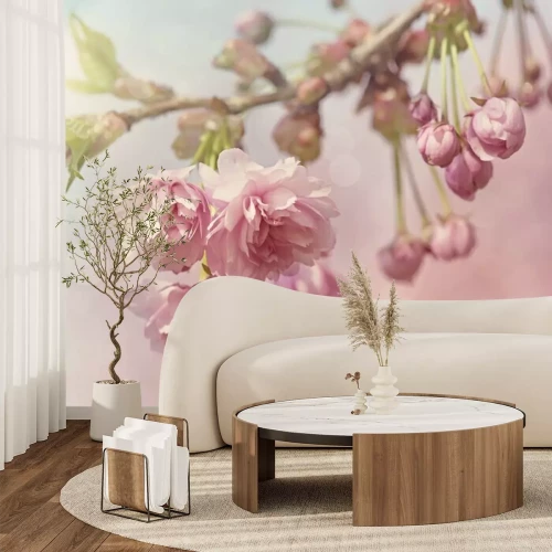 Fotobehang Roze kersenbloesemboom