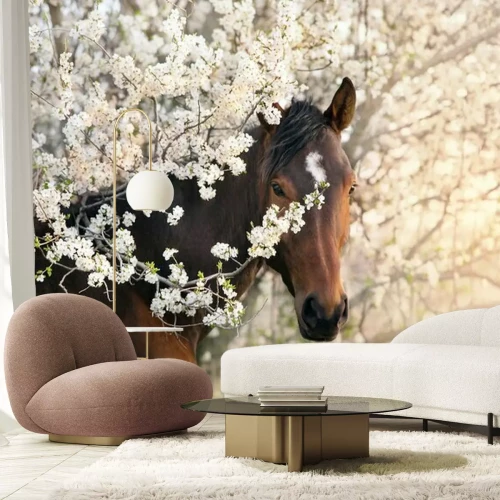 Fotobehang Bay stallion portrait on spring blossom tree