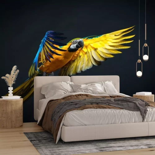 Sticker Kleurrijke Ara vliegen op een donkere achtergrond