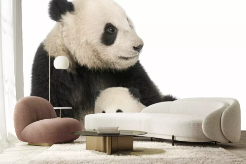 Visualisatie van het product