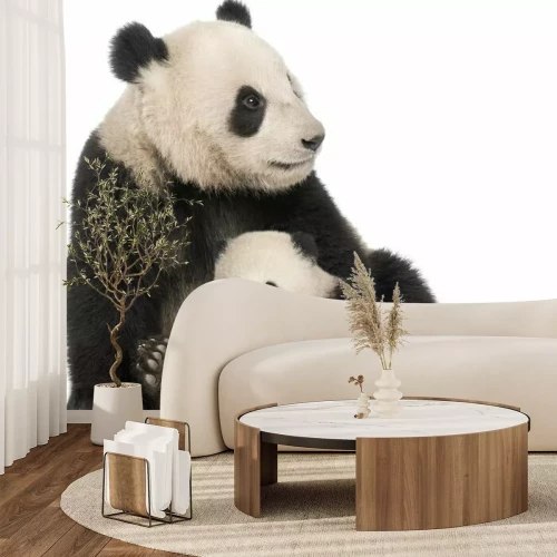 Fotobehang Kleine en grote panda