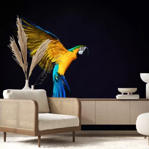 Sticker Kleurrijke Ara vliegen op een donkere achtergrond