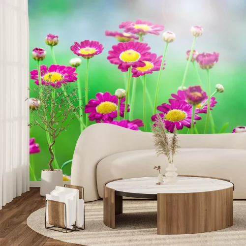 Sticker Roze veldbloemen in het gras