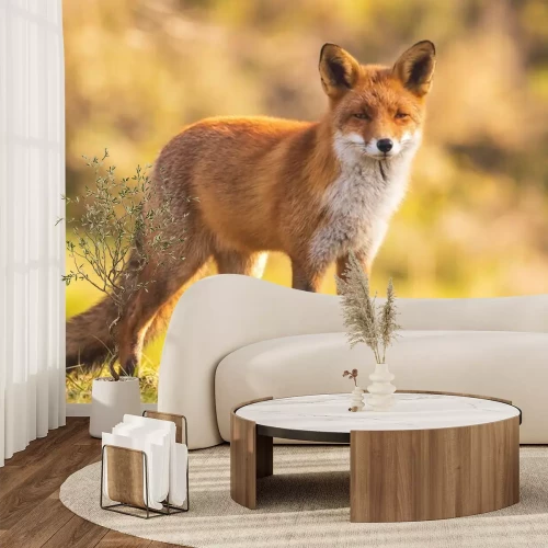 Fotobehang Vos op de achtergrond van een herfstlandschap