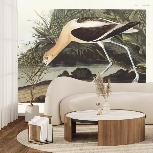 Fotobehang Amerikaanse kluut