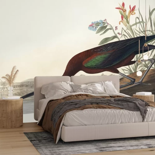 Fotobehang Zwarte ibis