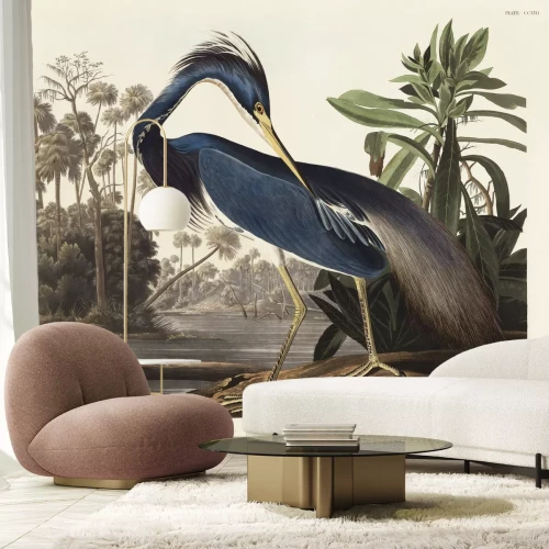 Fotobehang Witbuikreiger