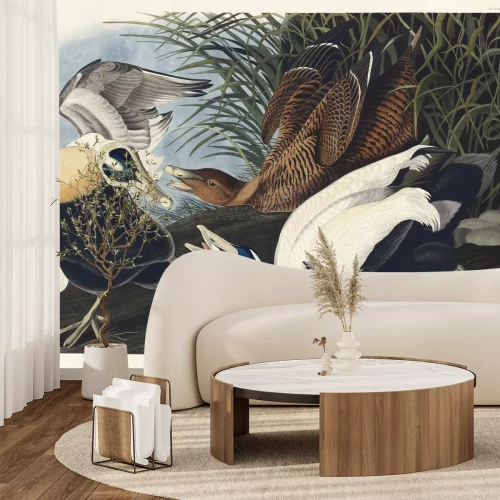 Fotobehang Eidereend