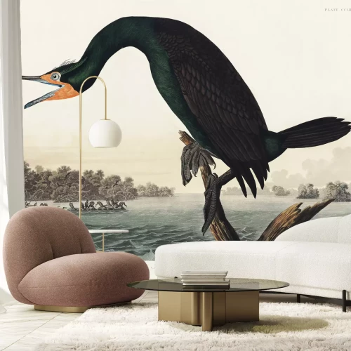 Fotobehang Geoorde aalscholver