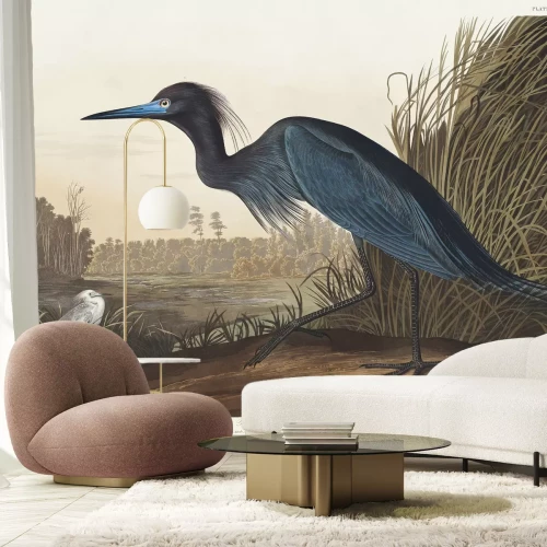 Fotobehang Paradijskraanvogel