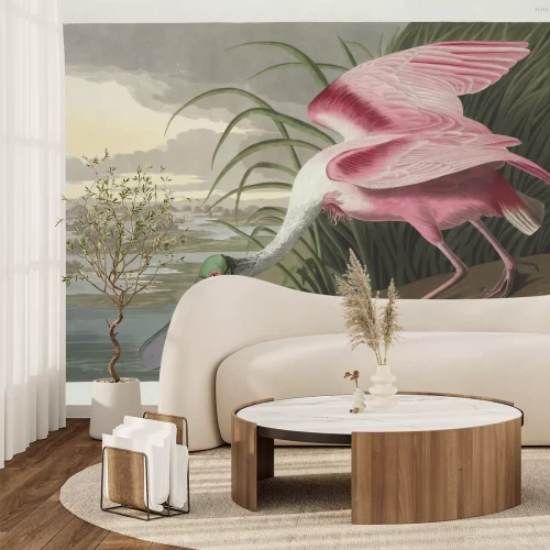 Fotobehang Rode lepelaar